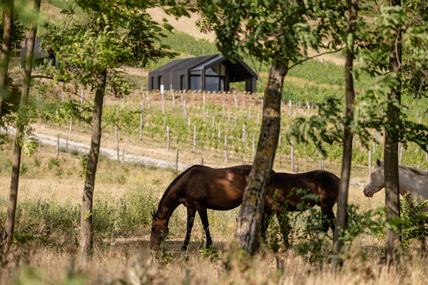 Gallery of Accommodations