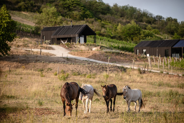 Gallery of Accommodations