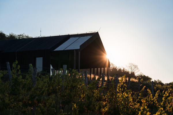 Gallery of Accommodations