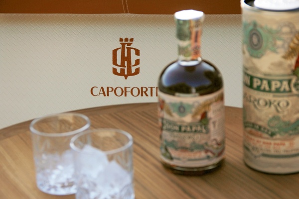 Private yacht charter on the Danube