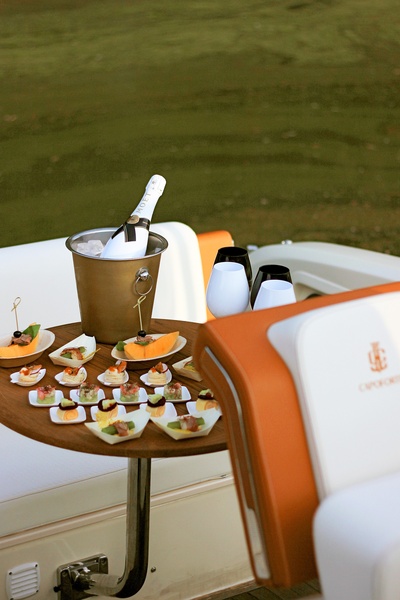 Private yacht charter on the Danube