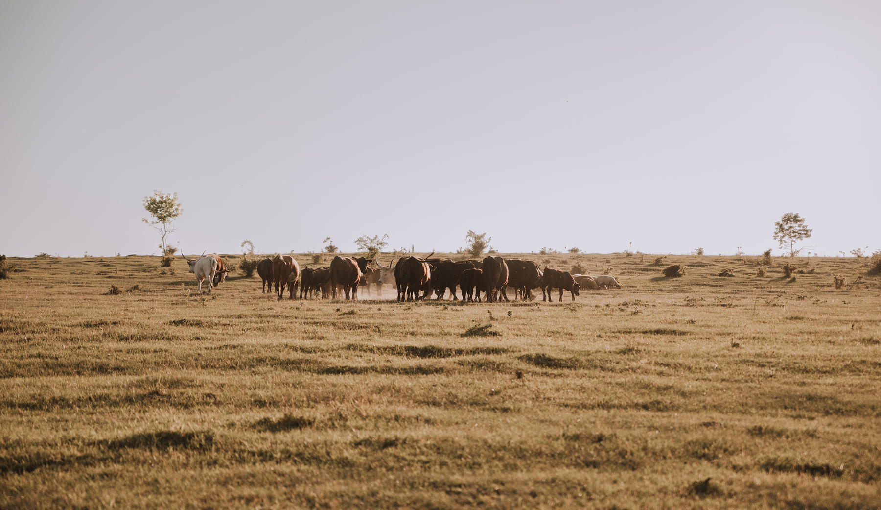 Experience Nature, Taste Quality